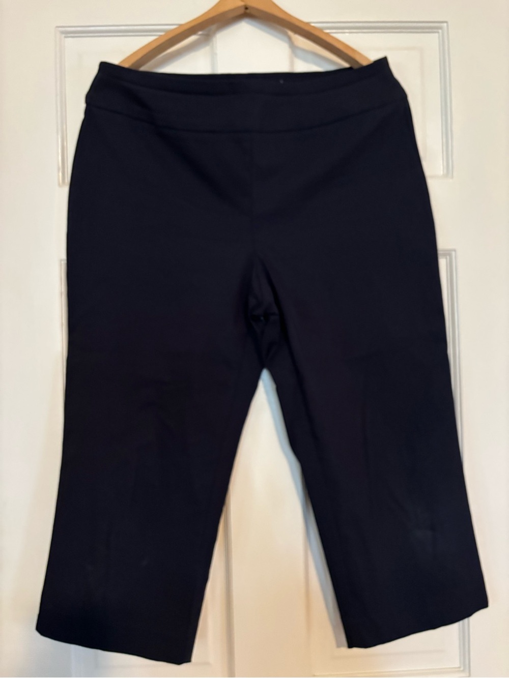 Dana Buchman woman’s  pull on capri pant.